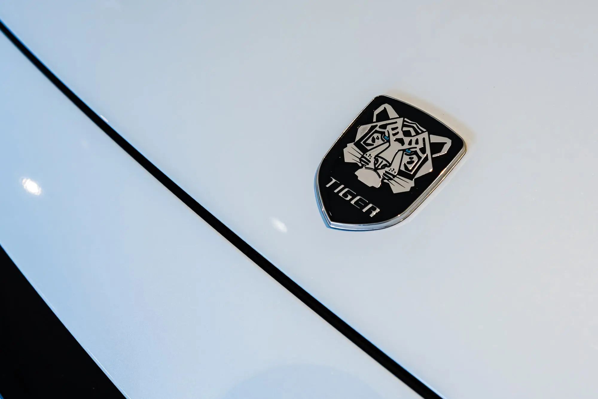 8 DSC02127 risultato