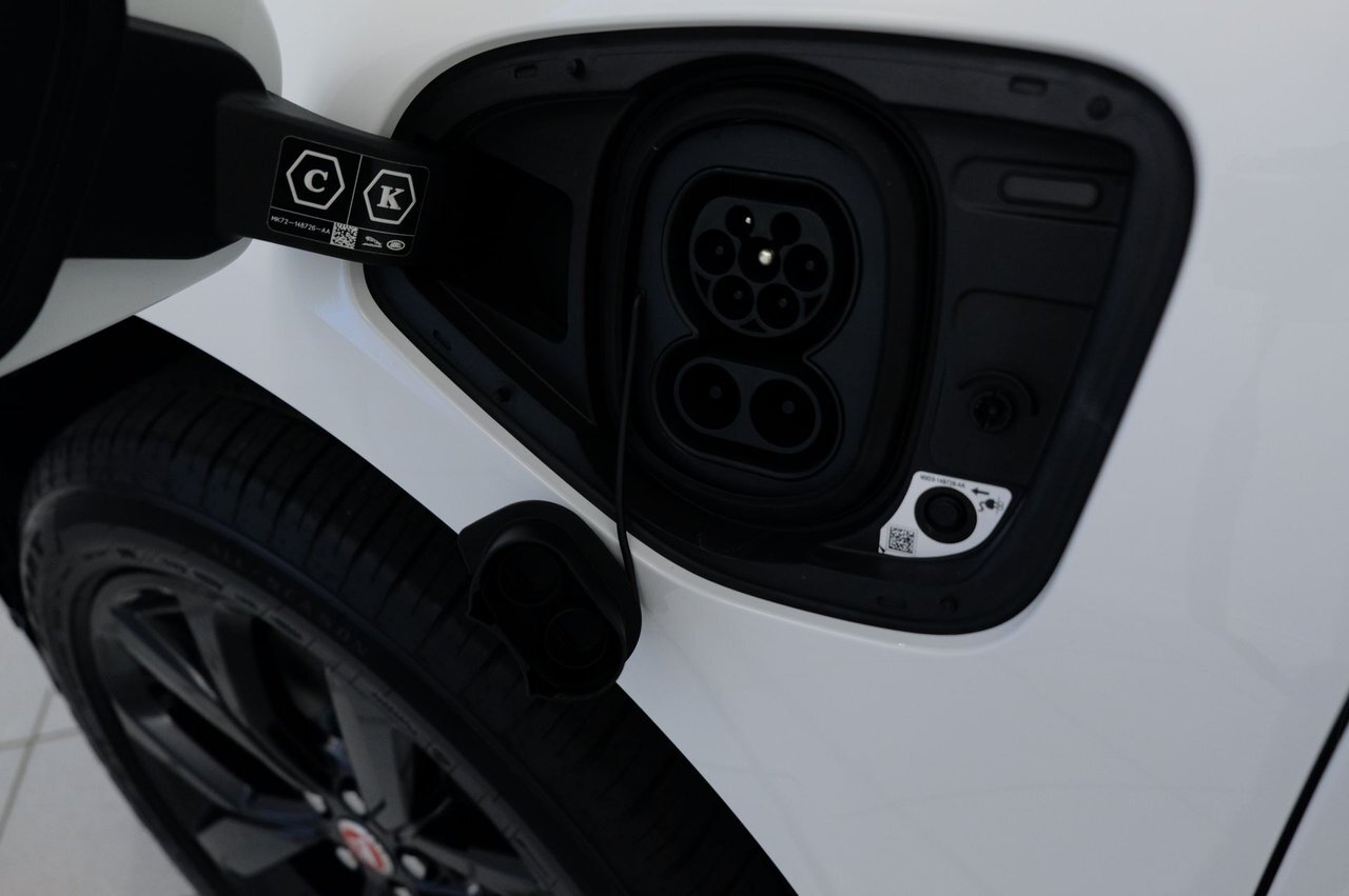 6197174 1662632107702